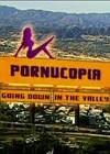 Pornucopia Going Down In The Valley (2004).jpg